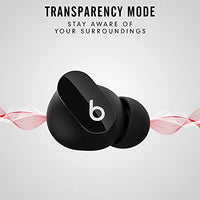 
              Beats Studio Wireless Earbuds 
            